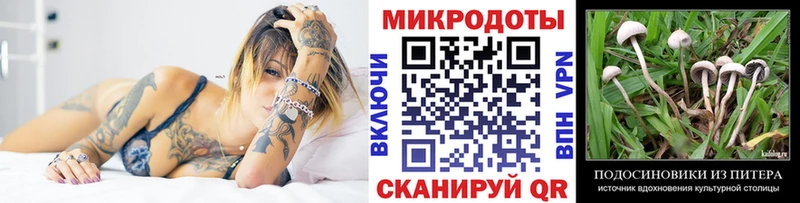 Галлюциногенные грибы GOLDEN TEACHER  Городовиковск 